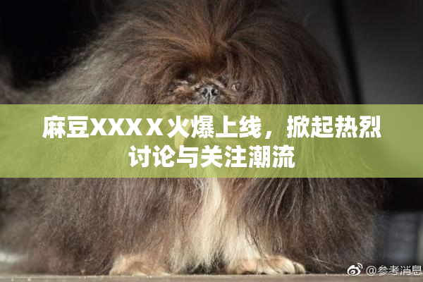 麻豆XXXⅩ火爆上线，掀起热烈讨论与关注潮流