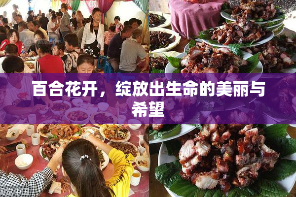 百合花开，绽放出生命的美丽与希望