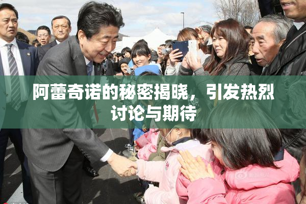 阿蕾奇诺的秘密揭晓，引发热烈讨论与期待
