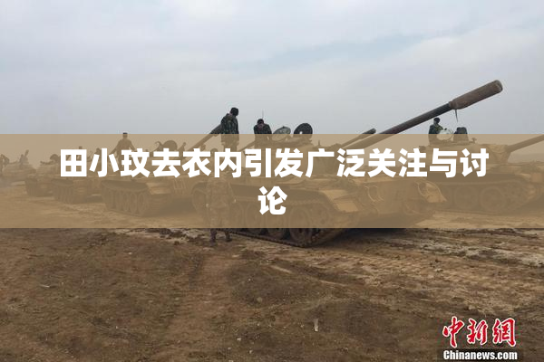 田小玟去衣内引发广泛关注与讨论