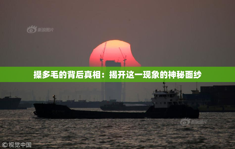 搡多毛的背后真相：揭开这一现象的神秘面纱