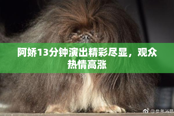 阿娇13分钟演出精彩尽显，观众热情高涨