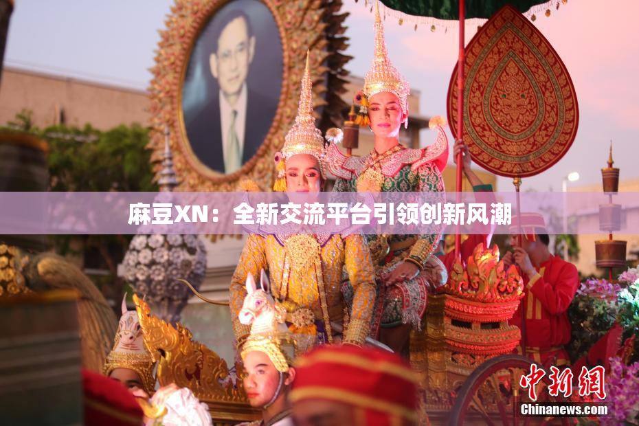 麻豆XN：全新交流平台引领创新风潮
