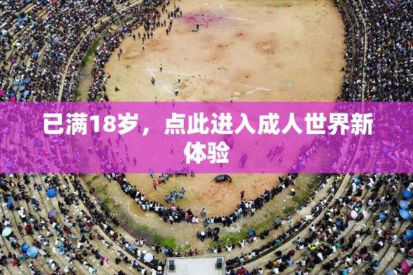 已满18岁，点此进入成人世界新体验