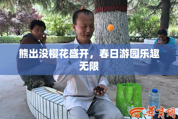 熊出没樱花盛开，春日游园乐趣无限