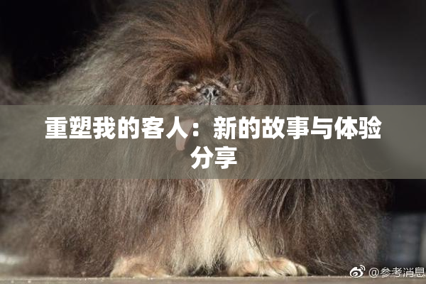 重塑我的客人：新的故事与体验分享