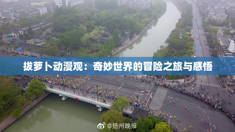 拔萝卜动漫观：奇妙世界的冒险之旅与感悟