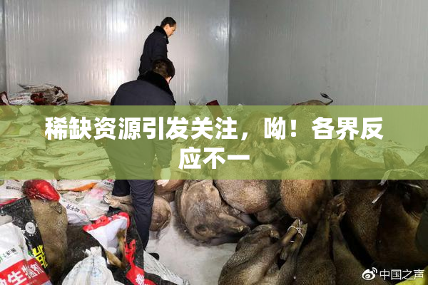 稀缺资源引发关注，呦！各界反应不一