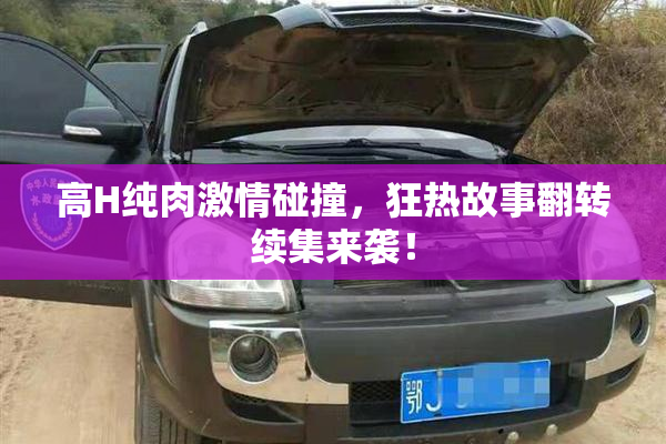 高H纯肉激情碰撞，狂热故事翻转续集来袭！