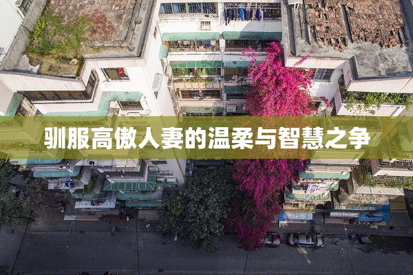 驯服高傲人妻的温柔与智慧之争
