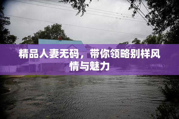 精品人妻无码，带你领略别样风情与魅力