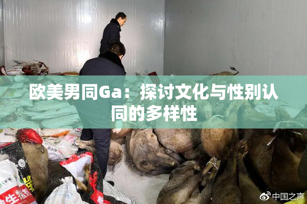 欧美男同Ga：探讨文化与性别认同的多样性
