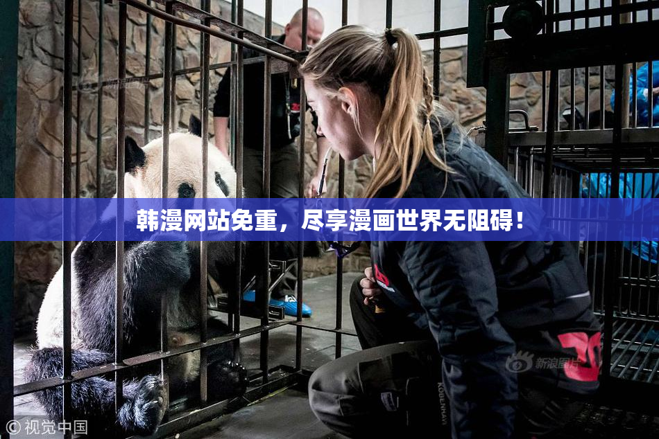 韩漫网站免重，尽享漫画世界无阻碍！