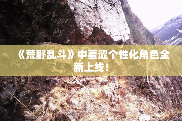 《荒野乱斗》中羞涩个性化角色全新上线！