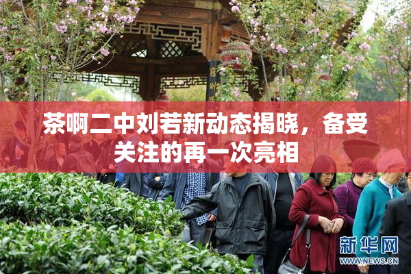 茶啊二中刘若新动态揭晓，备受关注的再一次亮相