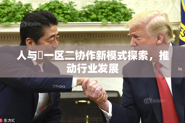 人与嘼一区二协作新模式探索，推动行业发展