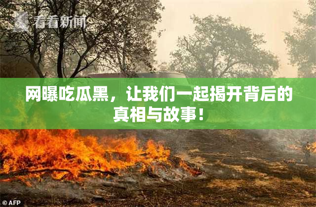 网曝吃瓜黑，让我们一起揭开背后的真相与故事！