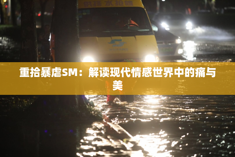 重拾暴虐SM：解读现代情感世界中的痛与美