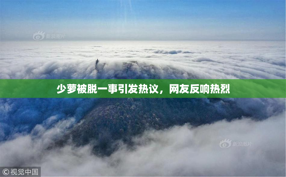 少萝被脱一事引发热议，网友反响热烈