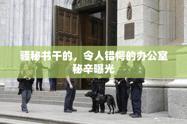 骚秘书干的，令人错愕的办公室秘辛曝光