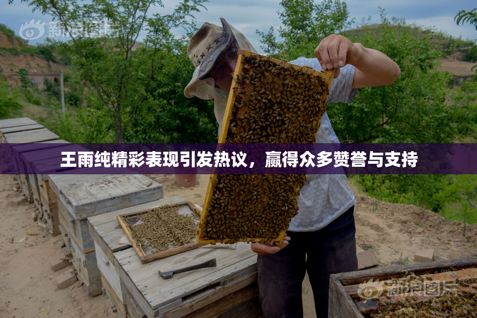 王雨纯精彩表现引发热议，赢得众多赞誉与支持