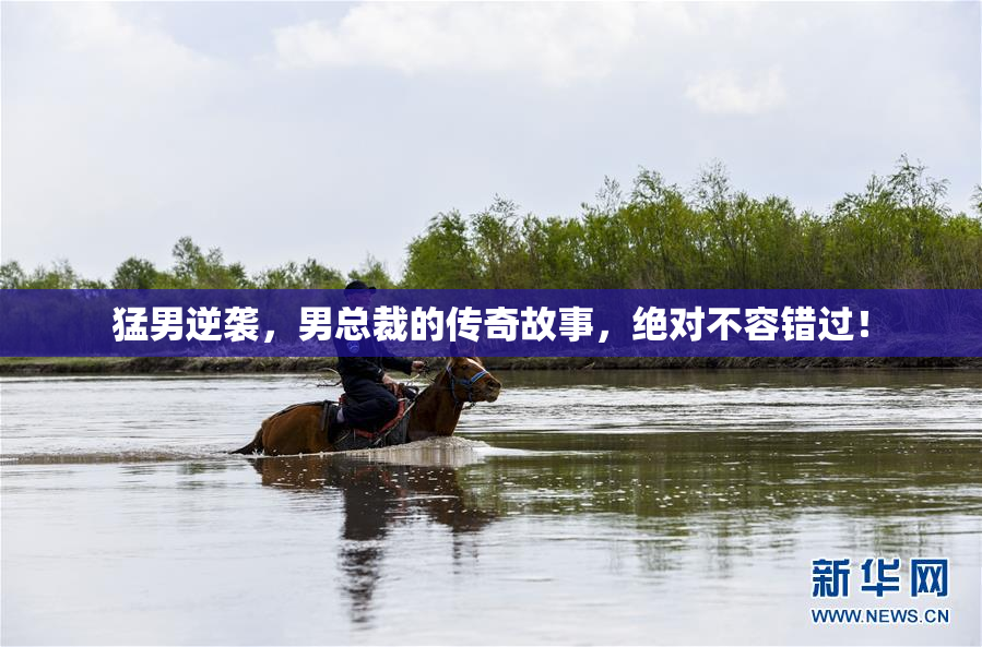 猛男逆袭，男总裁的传奇故事，绝对不容错过！