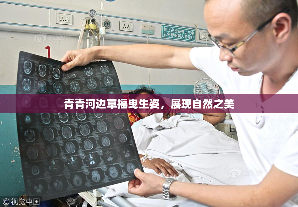 青青河边草摇曳生姿，展现自然之美
