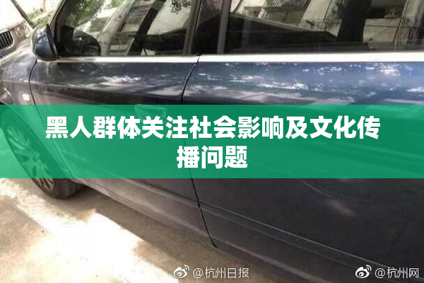 黑人群体关注社会影响及文化传播问题