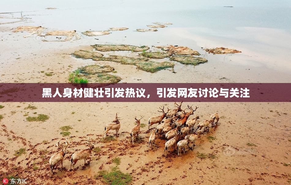 黑人身材健壮引发热议，引发网友讨论与关注
