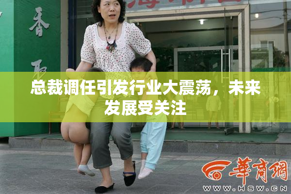 总裁调任引发行业大震荡，未来发展受关注
