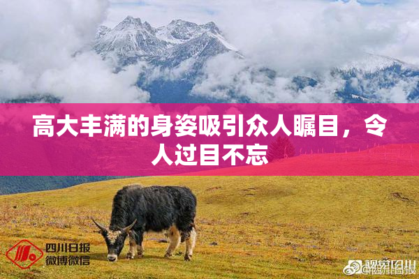 高大丰满的身姿吸引众人瞩目，令人过目不忘