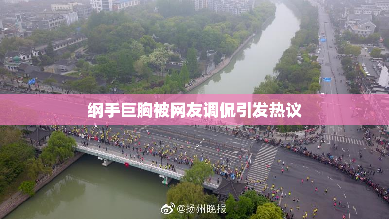 纲手巨胸被网友调侃引发热议