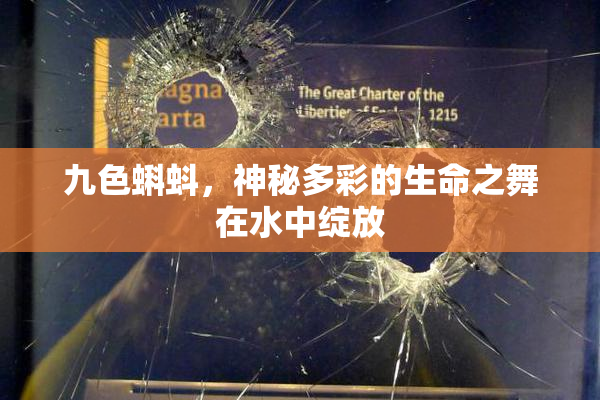 九色蝌蚪，神秘多彩的生命之舞在水中绽放