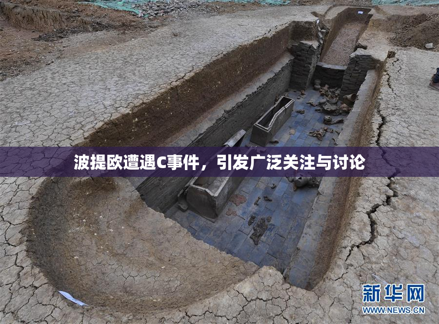 波提欧遭遇C事件，引发广泛关注与讨论