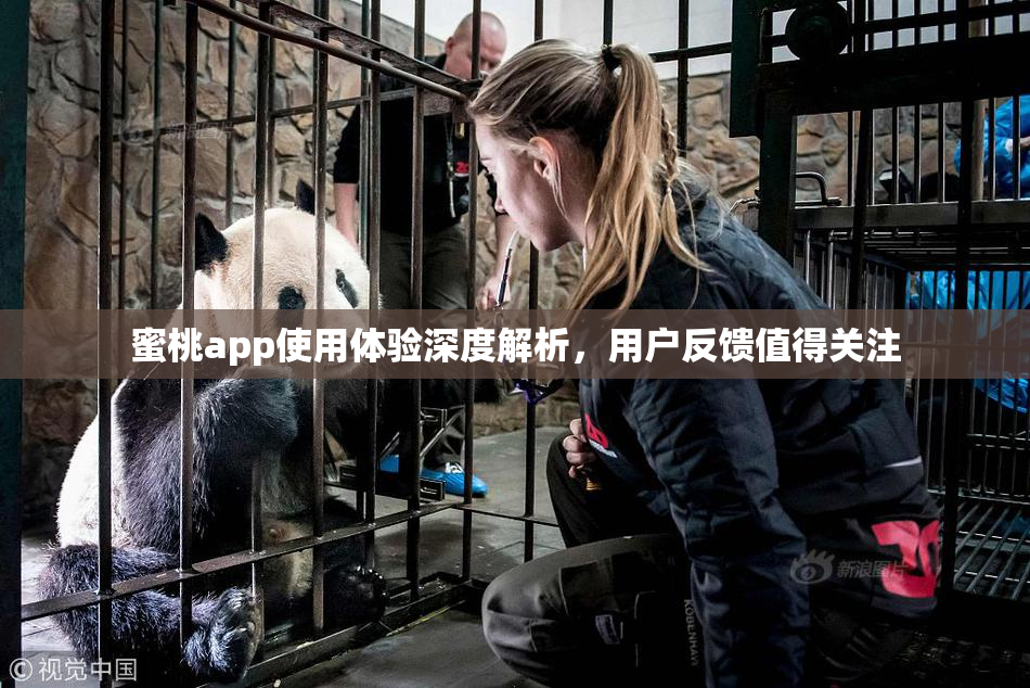 蜜桃app使用体验深度解析，用户反馈值得关注
