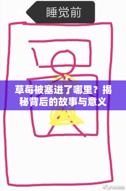 草莓被塞进了哪里？揭秘背后的故事与意义