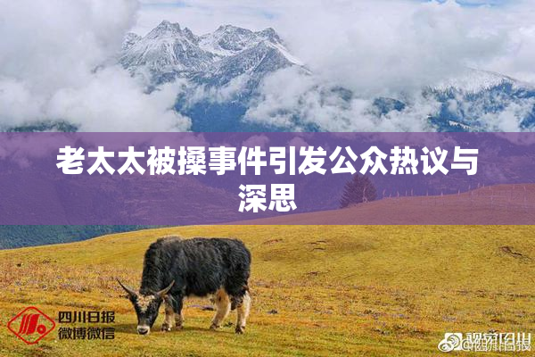 老太太被搡事件引发公众热议与深思