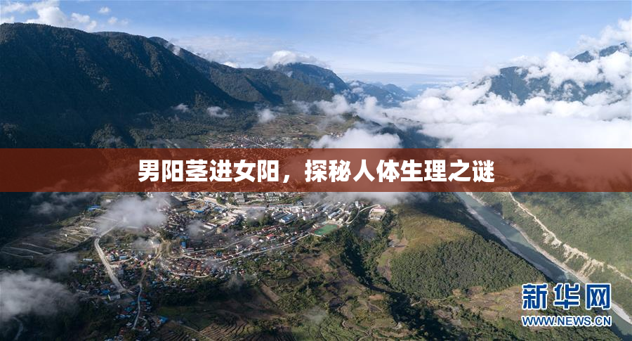 男阳茎进女阳，探秘人体生理之谜