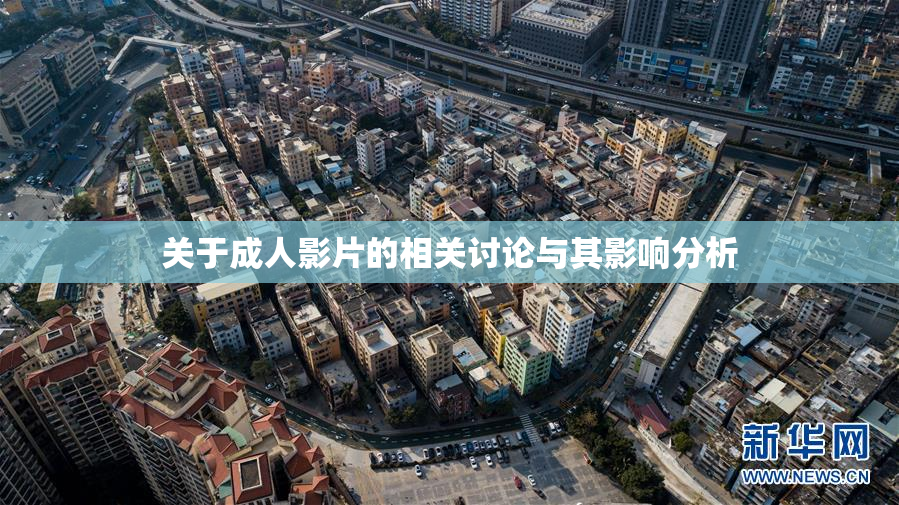 关于成人影片的相关讨论与其影响分析