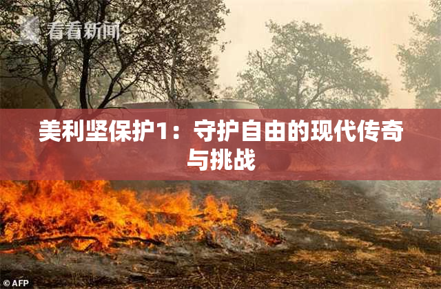美利坚保护1：守护自由的现代传奇与挑战