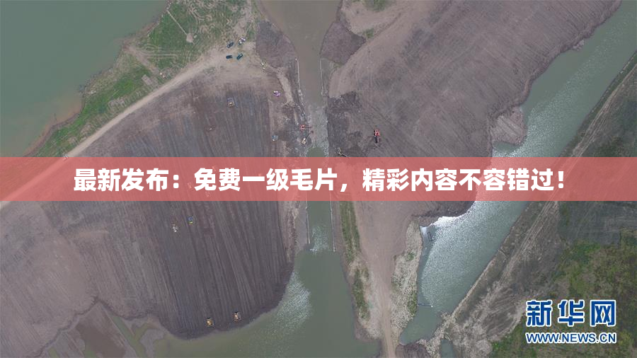 最新发布：免费一级毛片，精彩内容不容错过！