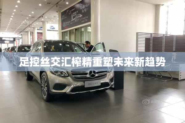 足控丝交汇榨精重塑未来新趋势