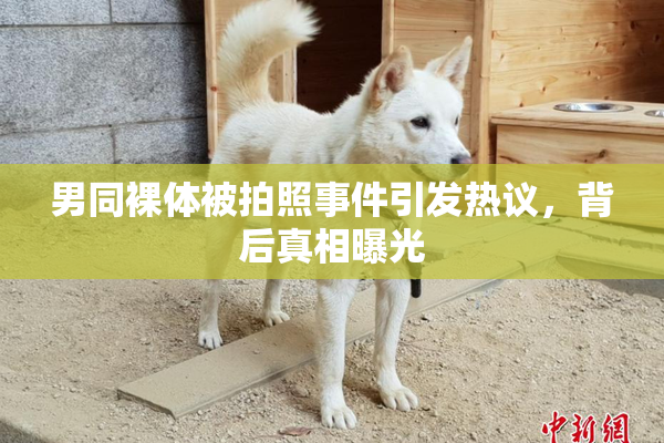 男同裸体被拍照事件引发热议，背后真相曝光