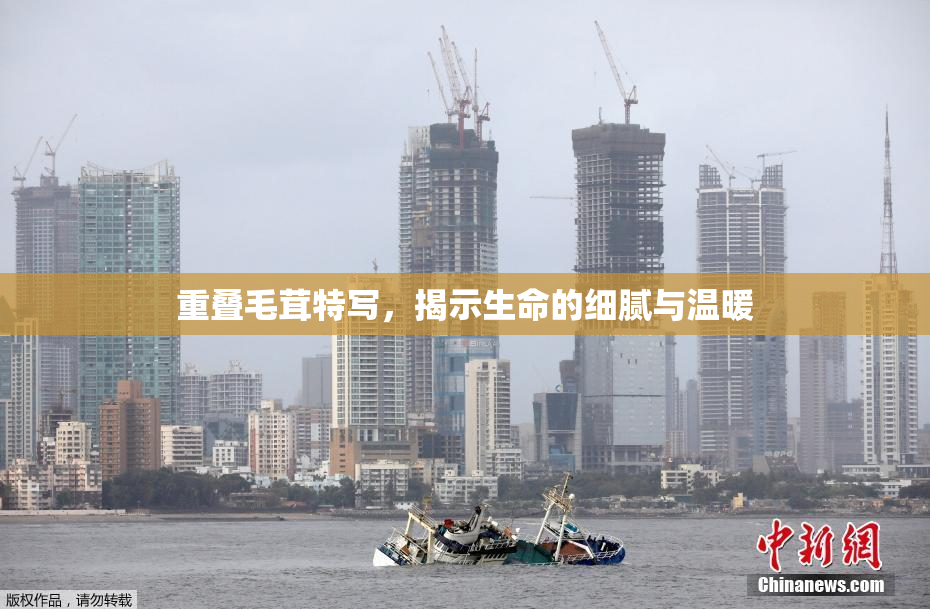 重叠毛茸特写，揭示生命的细腻与温暖