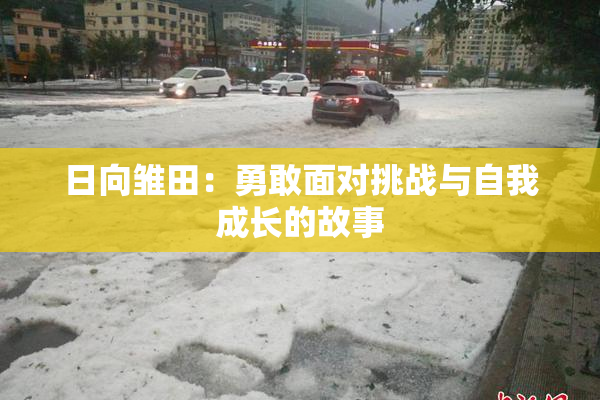 日向雏田：勇敢面对挑战与自我成长的故事