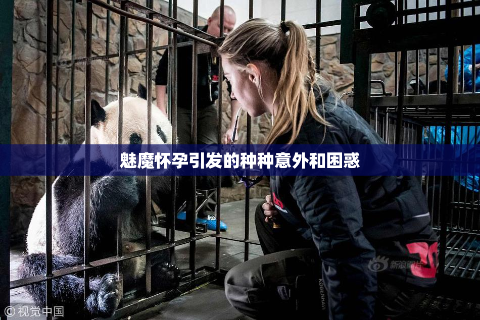 魅魔怀孕引发的种种意外和困惑