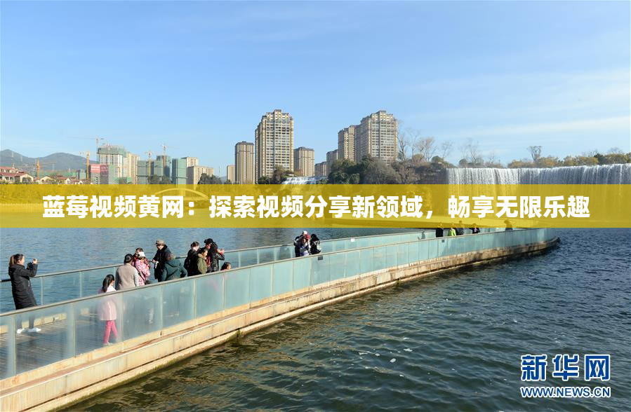 蓝莓视频黄网：探索视频分享新领域，畅享无限乐趣