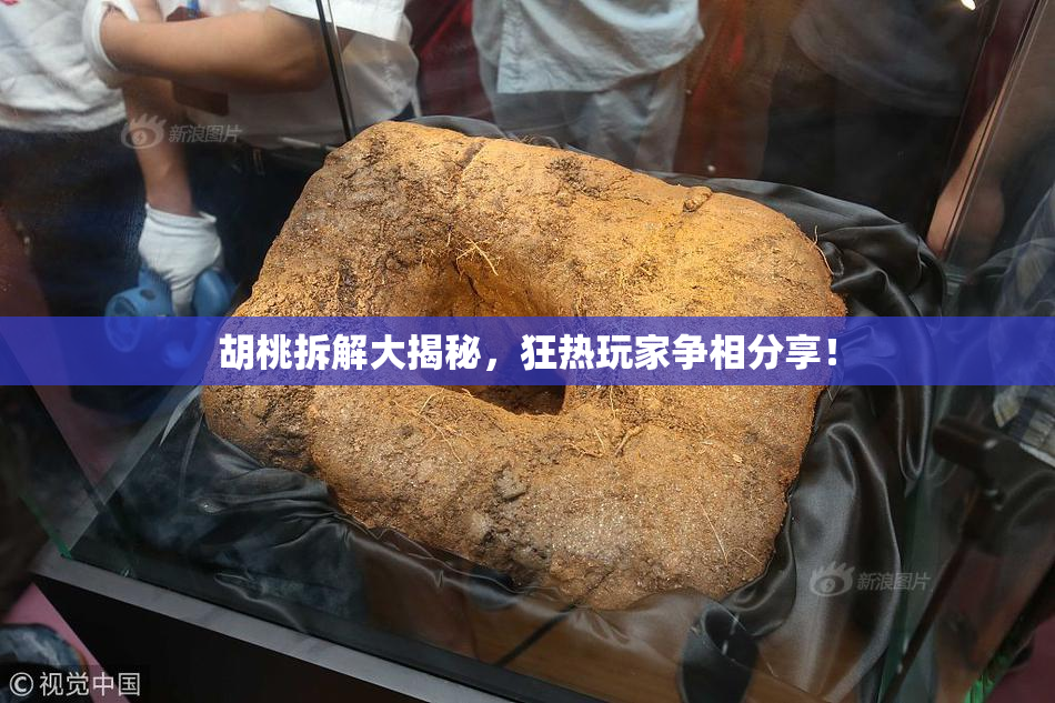 胡桃拆解大揭秘，狂热玩家争相分享！
