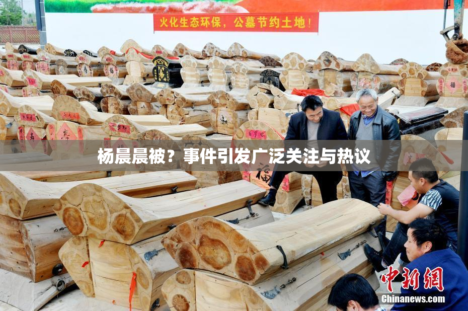 杨晨晨被？事件引发广泛关注与热议