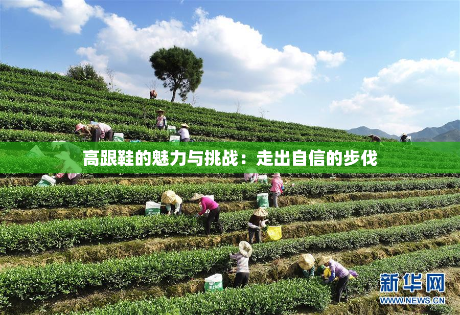 高跟鞋的魅力与挑战：走出自信的步伐